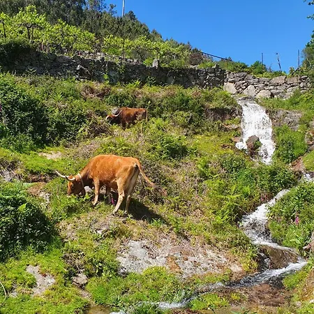Дом отдыха Casa Da Iapa Суажу
