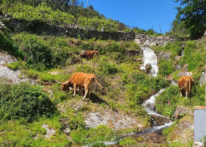 Hébergement de vacances Casa Da Iapa Soajo